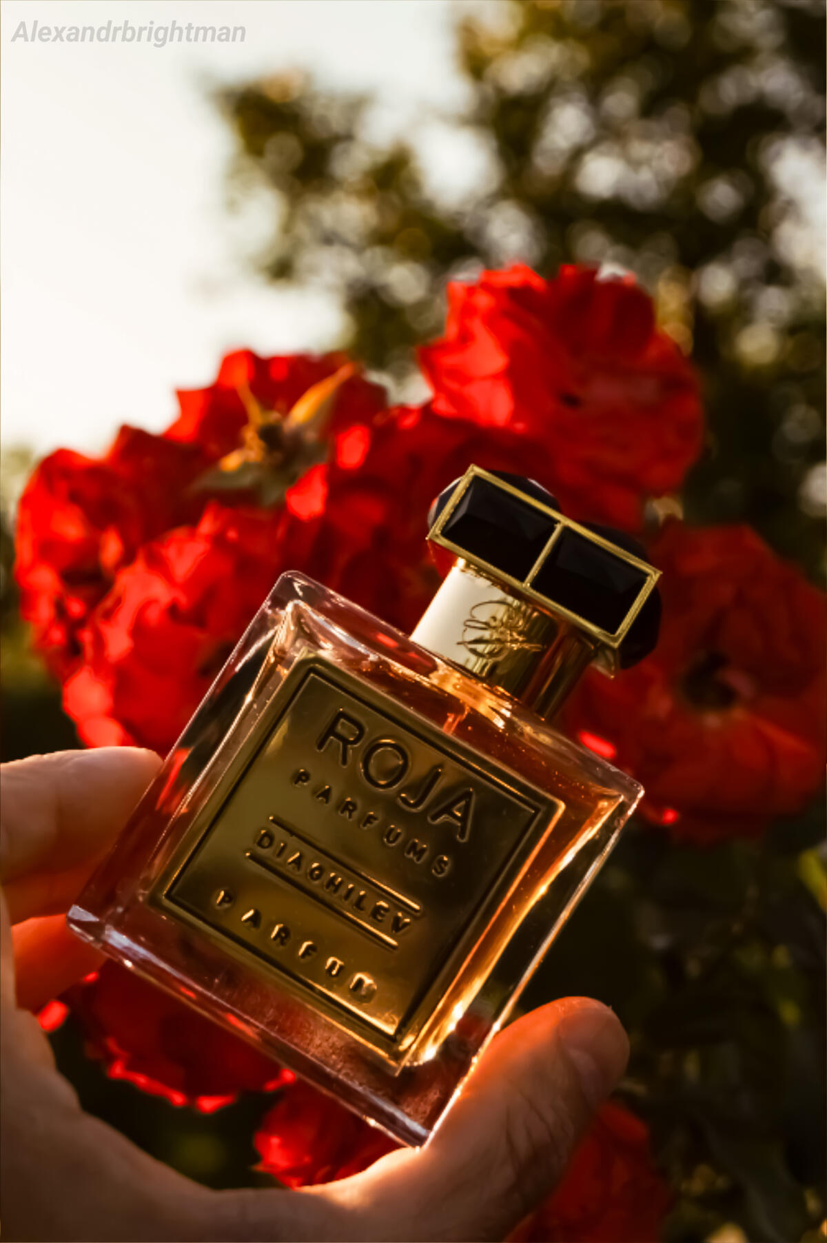 تصویر عطر دیگلیف روژا داو