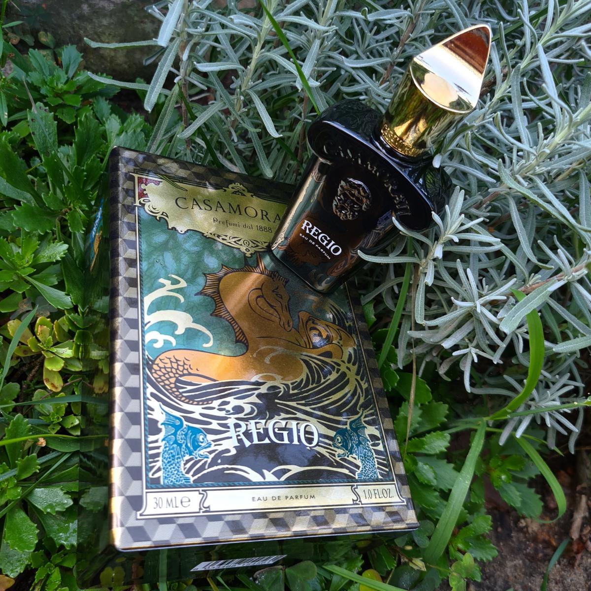 تصویر عطر رجیو زرجوف