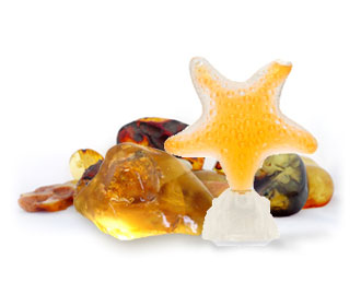 تصویر عطر استار سنشوال امبر سیجولس