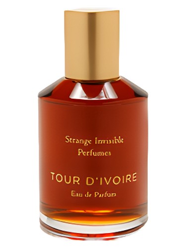 تصویر عطر تور دیواغ استرنج اینویزیبل پرفیومز