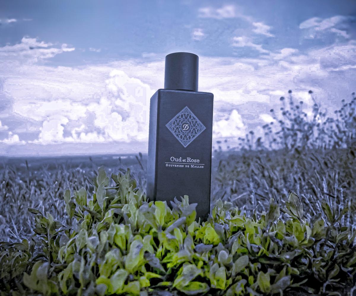 تصویر عطر دوپونت عود ات رز اس‌تی دوپون