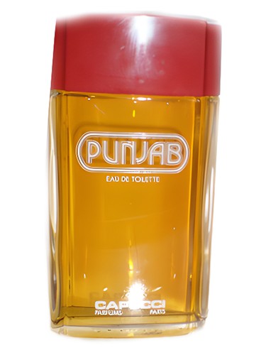تصویر عطر پنجاب روبرتو کاپوچی