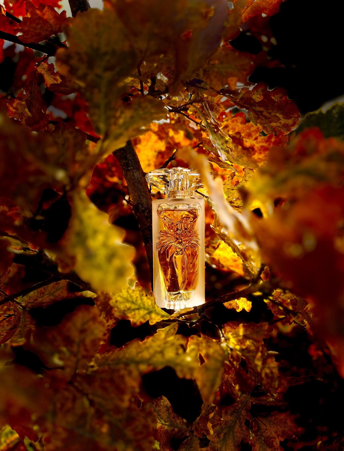 تصویر عطر لا بل ات لوسلو سالوادور دالی