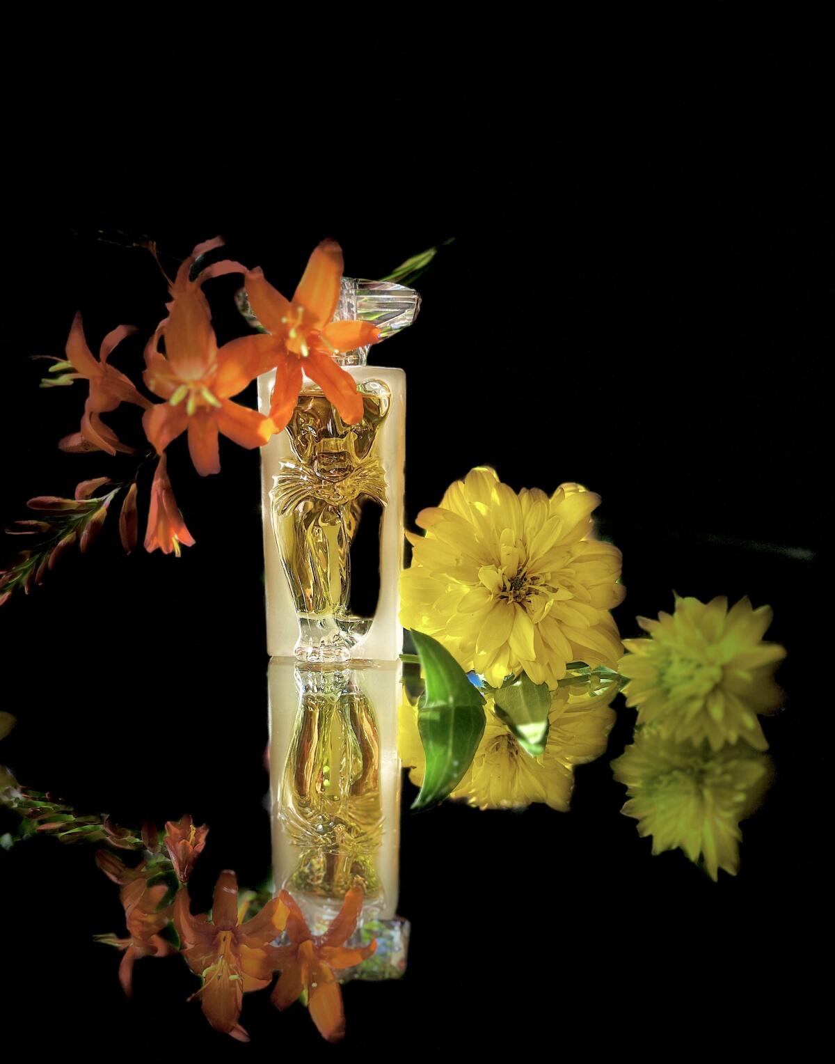 تصویر عطر لا بل ات لوسلو سالوادور دالی