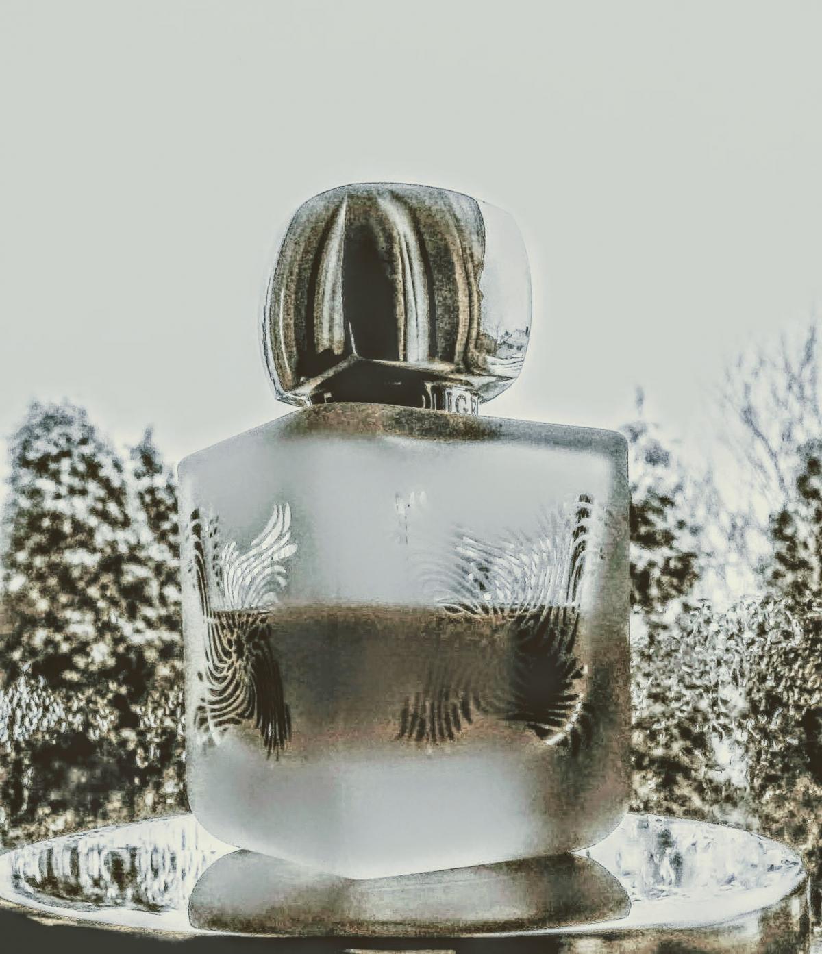 تصویر عطر تنرا روژ بانی روژ