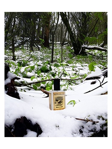 تصویر عطر اسنو مینت مالو سالستیس سنتس