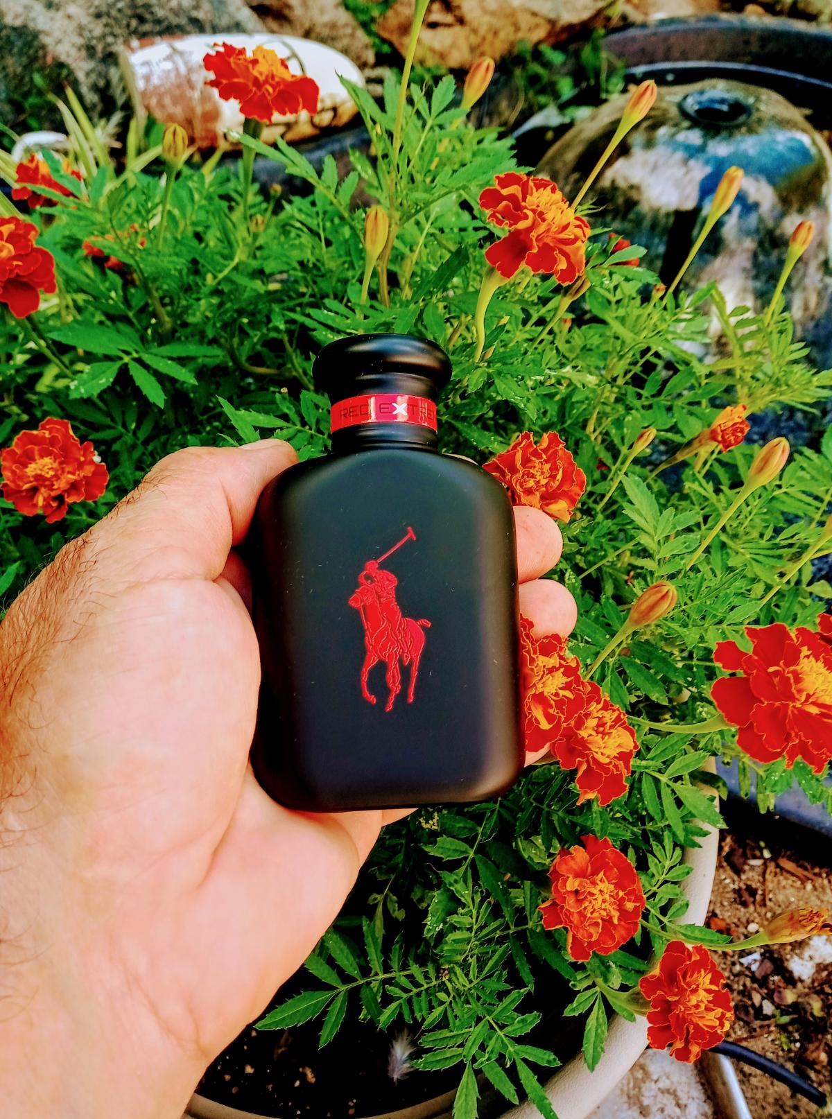 تصویر عطر پولو رد اکستریم رالف لورن