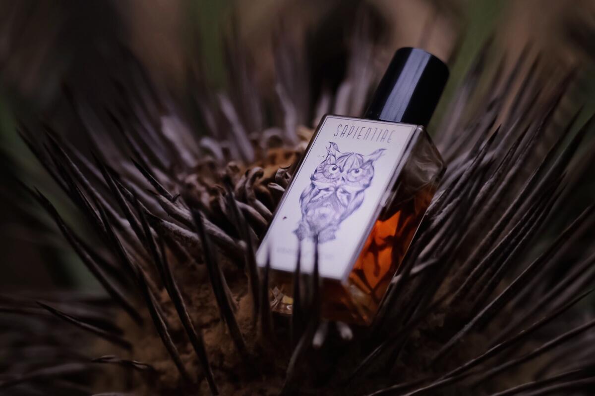 تصویر عطر وانیل نوآر ساپینتیا نیش