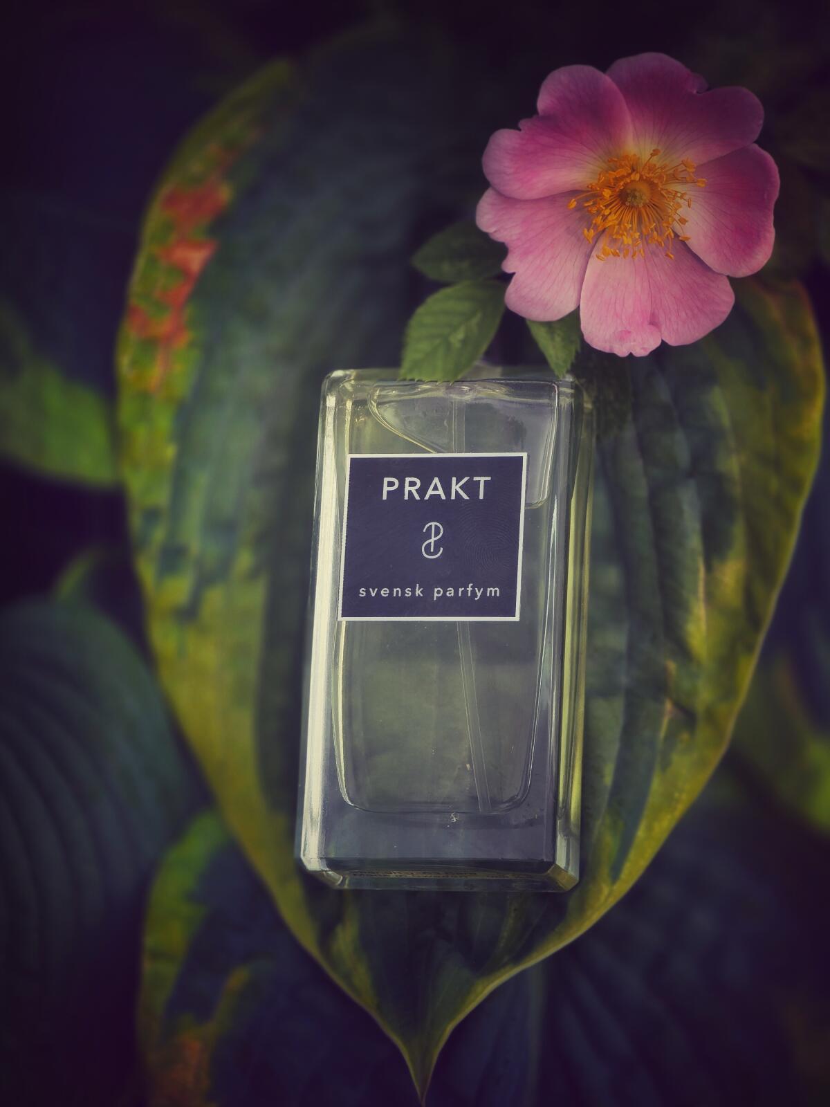 تصویر عطر پرکت سوِنسک پارفیم