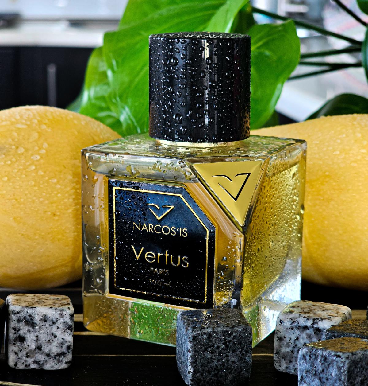 تصویر عطر نارکوز ورتوس