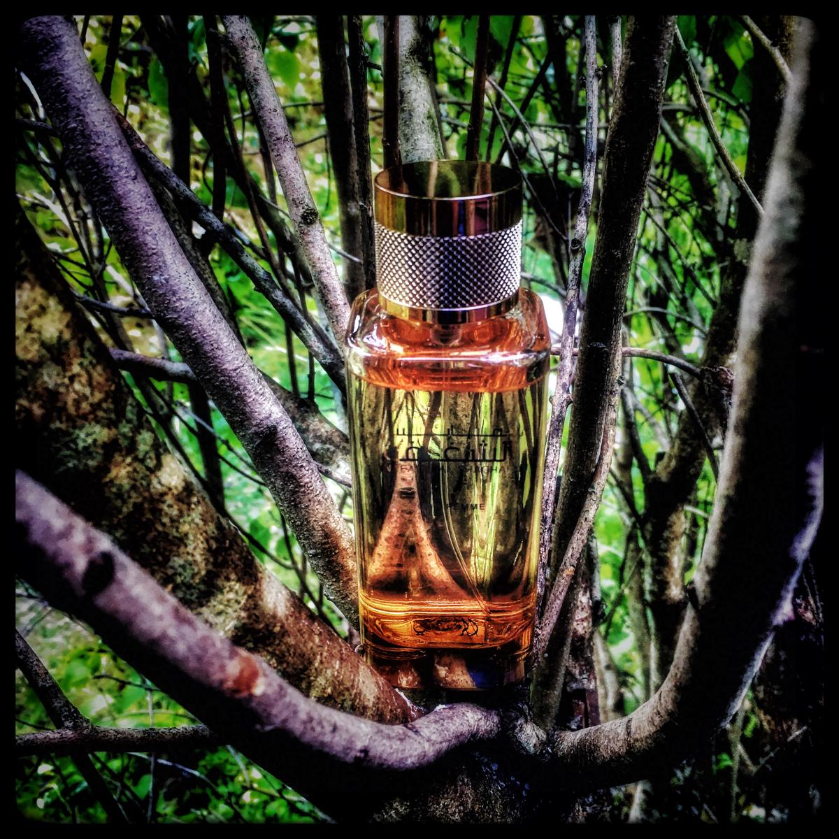 تصویر عطر شغف پور فم رصاصی
