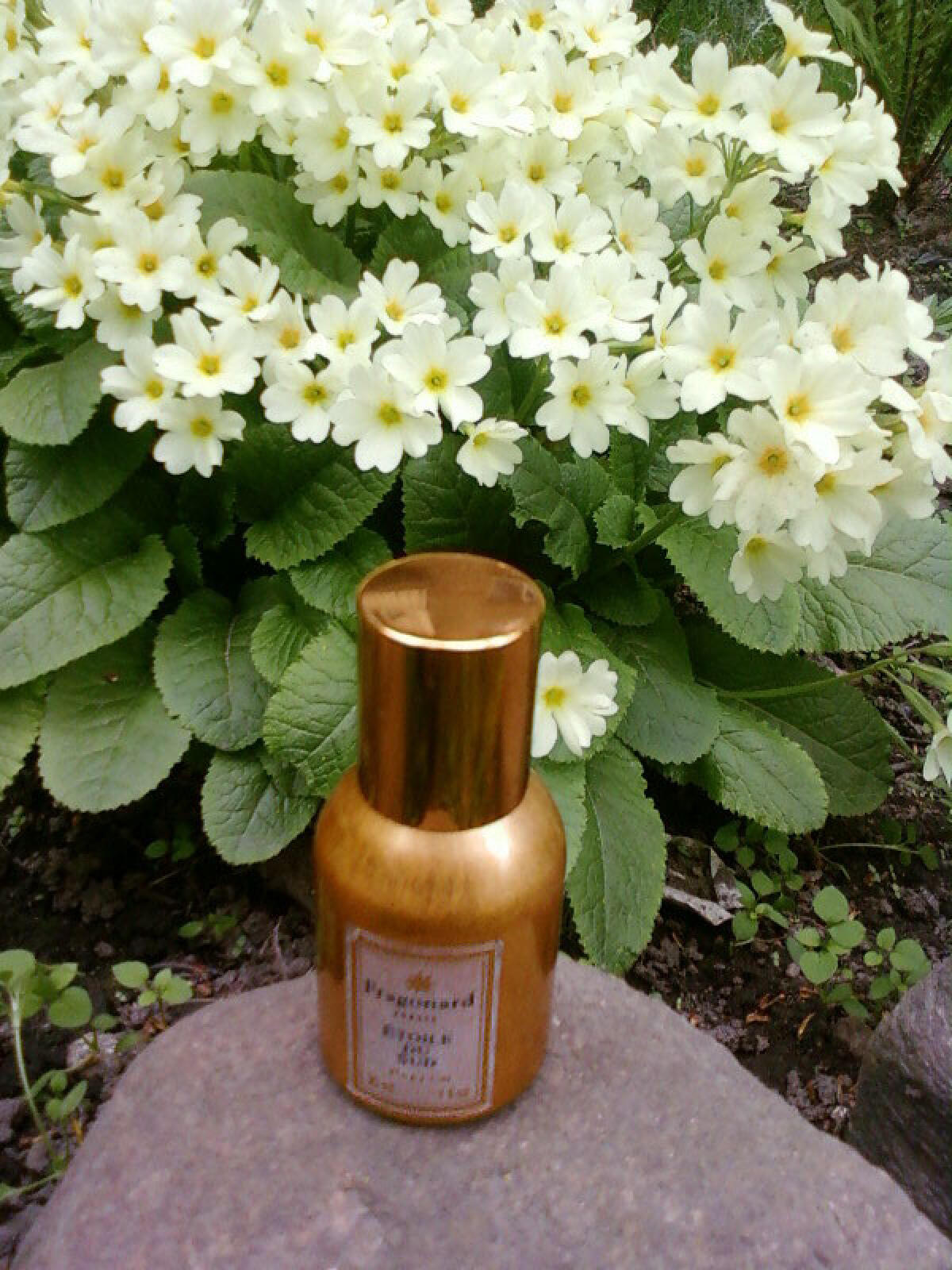 تصویر عطر اتوال دو سود فراگونار