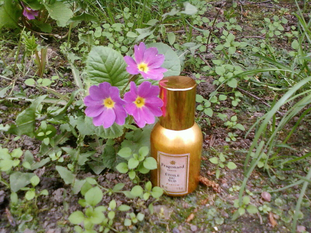 تصویر عطر اتوال دو سود فراگونار