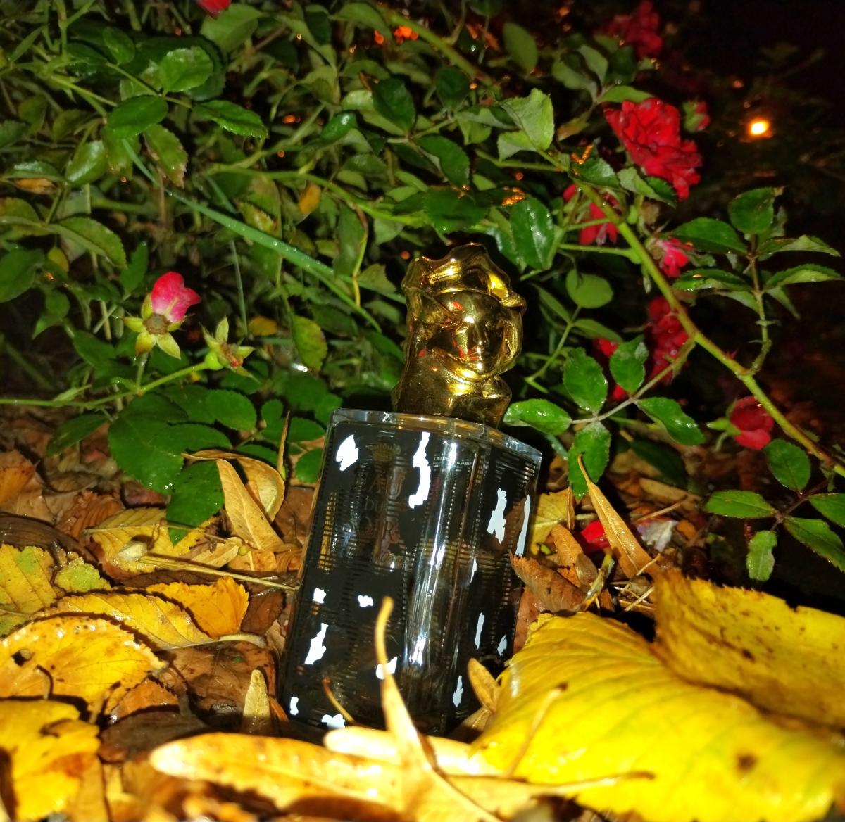 تصویر عطر اُ دو سوار سیزلی