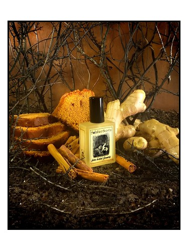 تصویر عطر دارک جینجر اسپایس کیک سالستیس سنتس