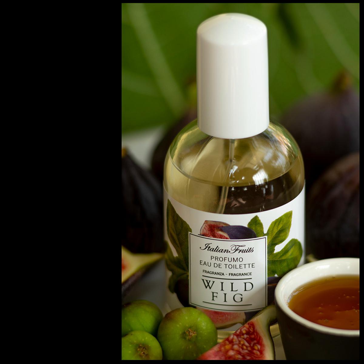 تصویر عطر وایلد فیگ رودی پروفومی