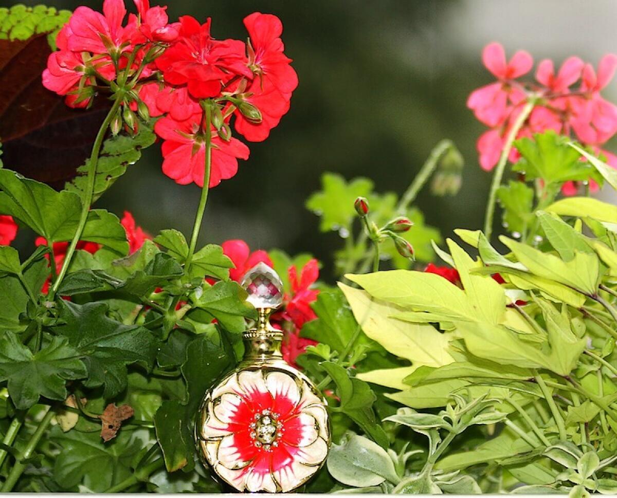تصویر عطر لیالی روژ سوئیس عربین