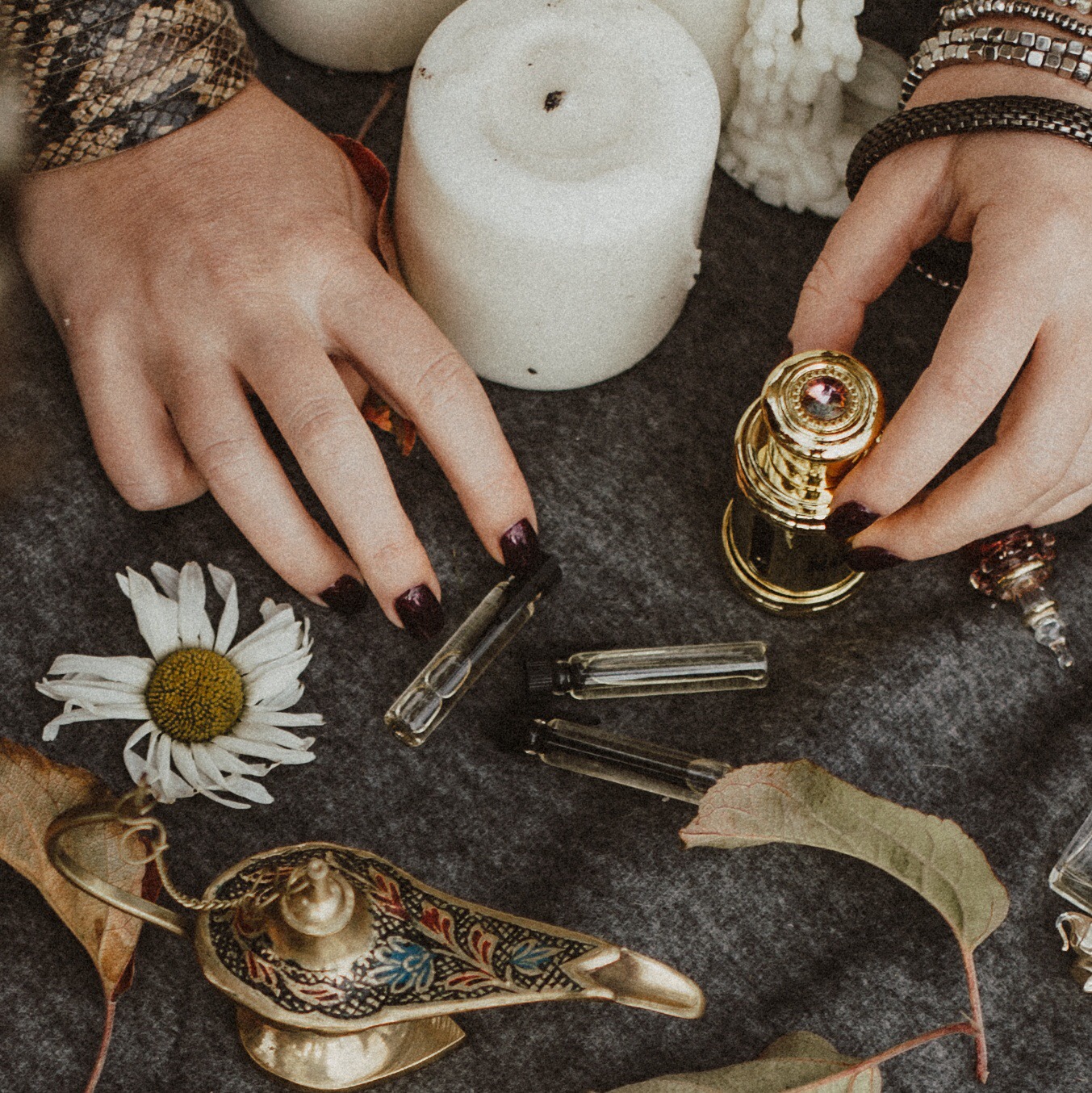 تصویر عطر شالوم فسالونیکا
