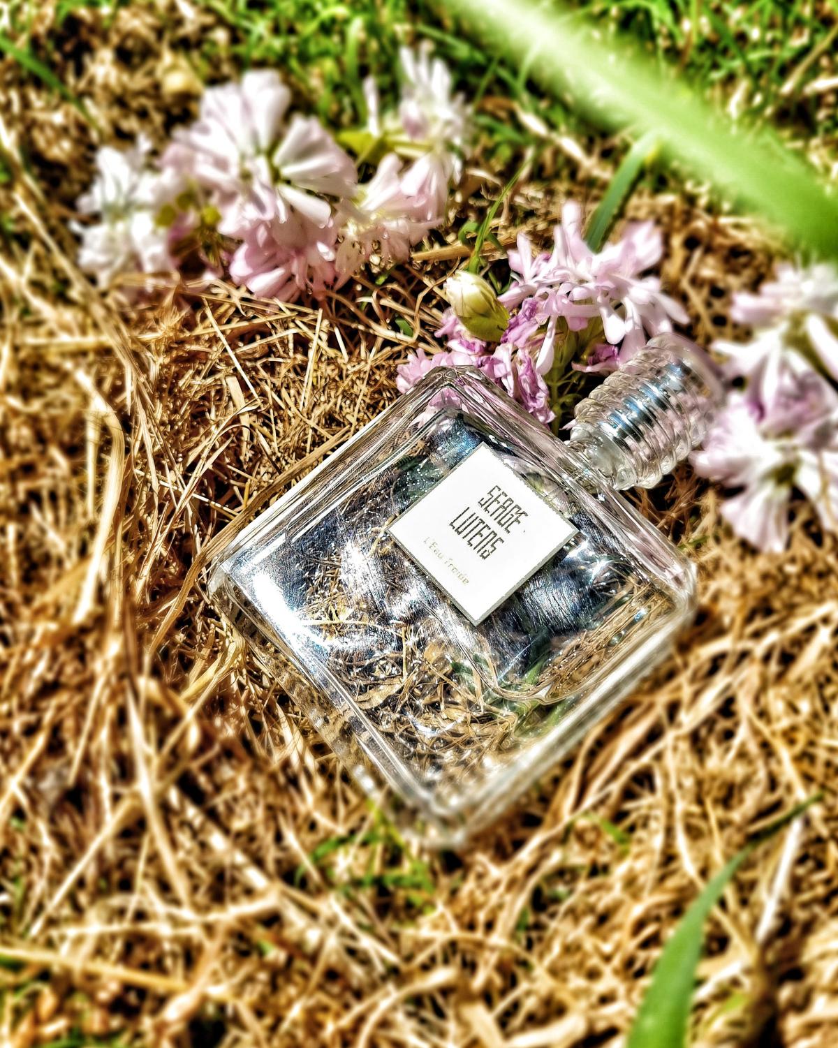 تصویر عطر لو فغواد سرژ لوتانس