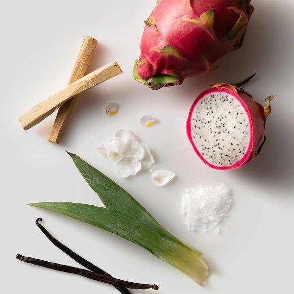 تصویر عطر ترنسند دِ فلوید پروجکت