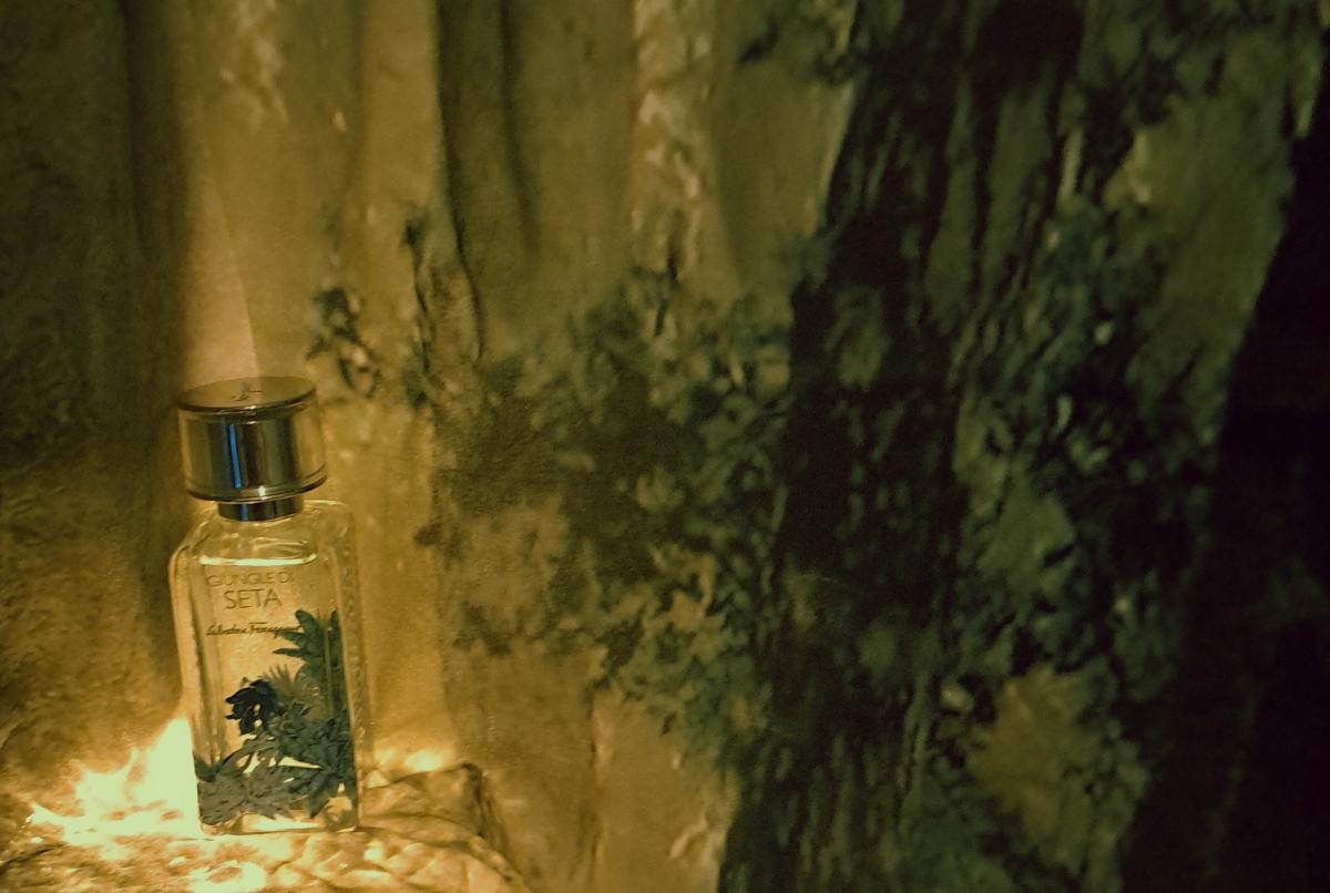 تصویر عطر جیونگل دی سِتا سالواتوره فراگامو