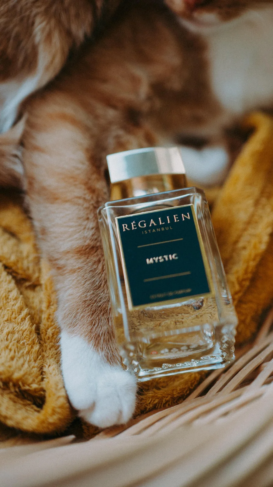 تصویر عطر میستیک رگالین