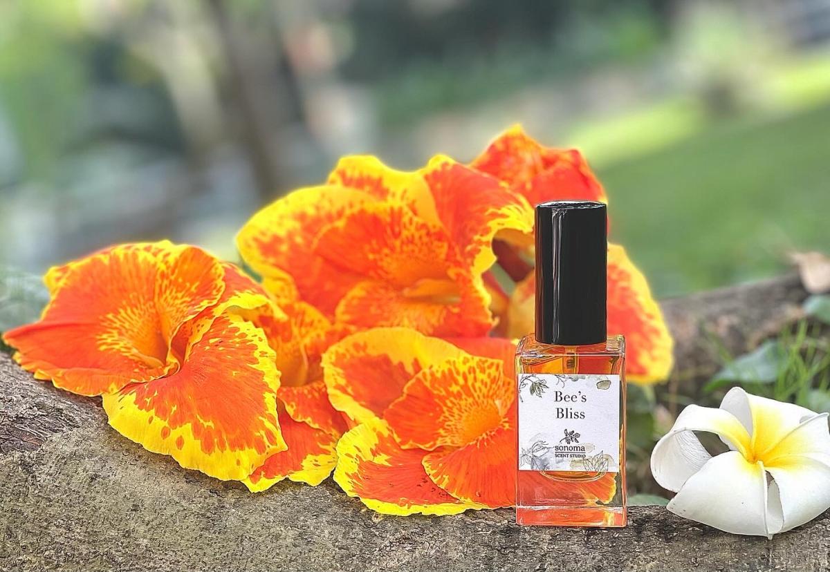 تصویر عطر بیز بلیس سِنوما سنت استودیو