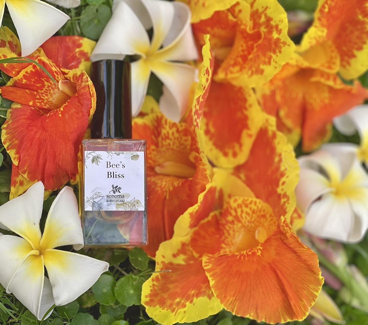 تصویر عطر بیز بلیس سِنوما سنت استودیو