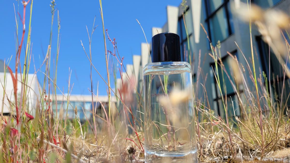 تصویر عطر انرژتیکلی نیویورک زارا