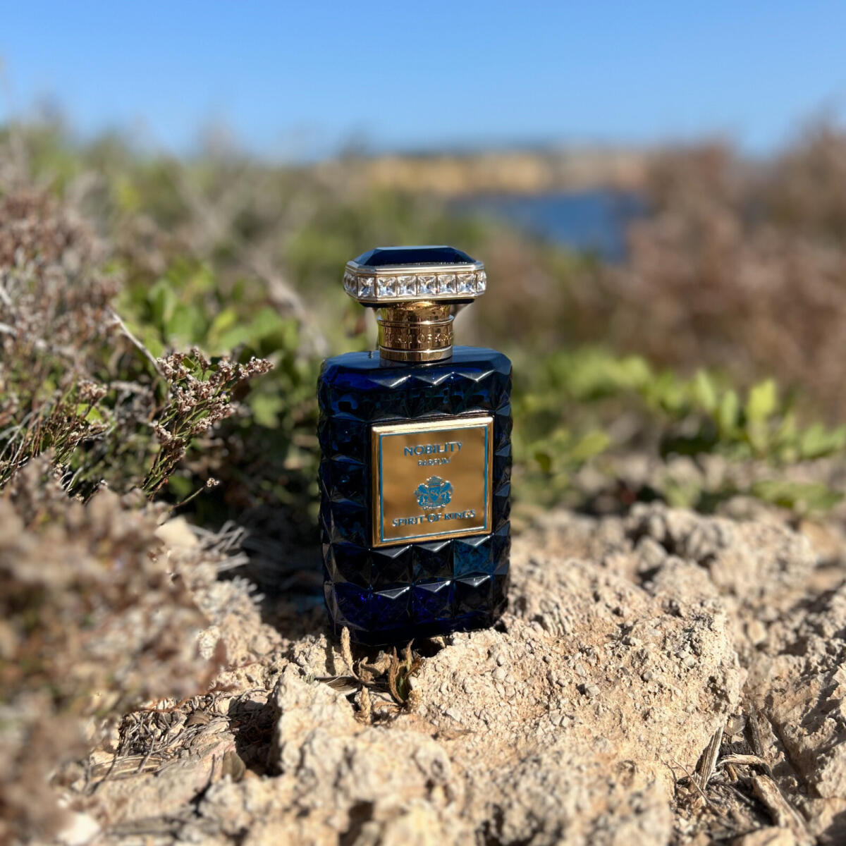 تصویر عطر نوبیلیتی اسپیریت آو کینگز
