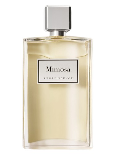 تصویر عطر میموسا رمینیسنس