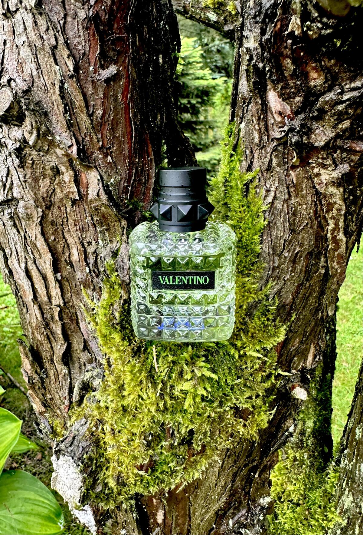 تصویر عطر والنتینو دونا بورن این روما گرین استراواگانزا