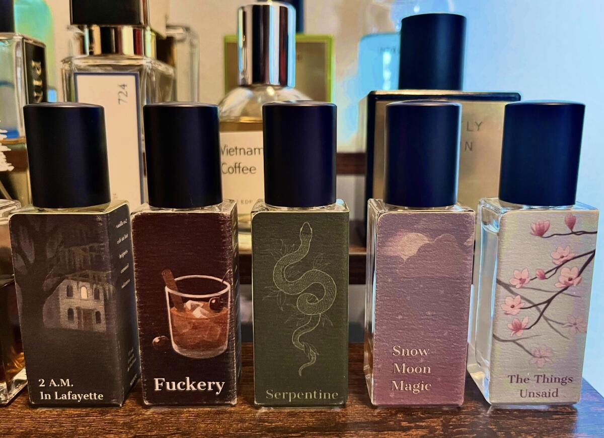 تصویر عطر دو ای‌ام این لافایت سورس