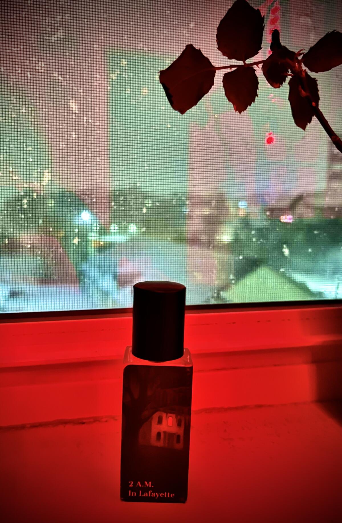 تصویر عطر دو ای‌ام این لافایت سورس