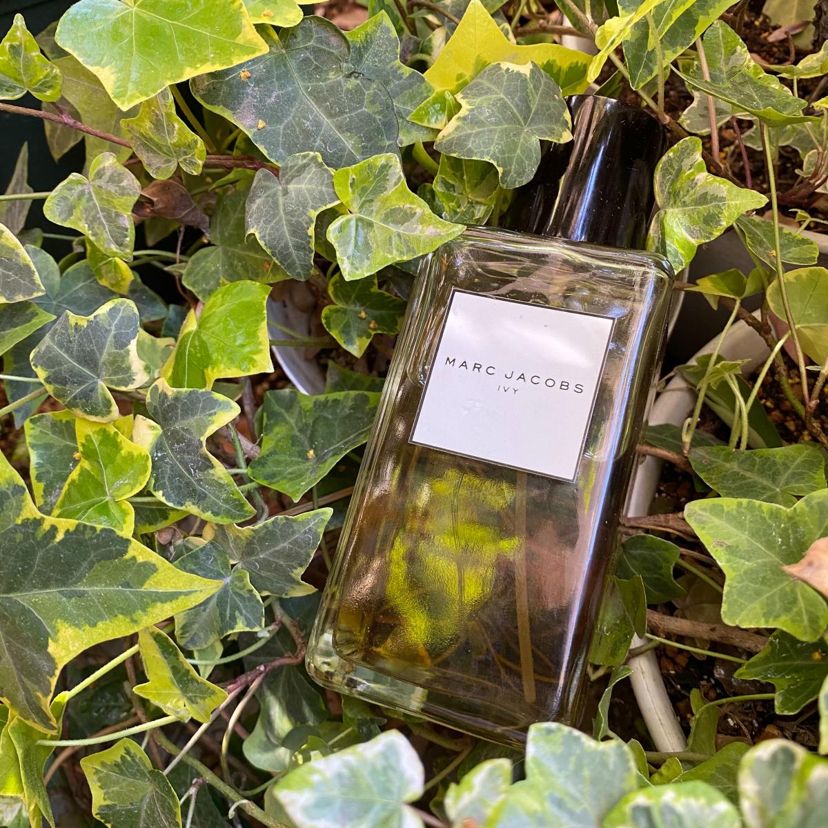 تصویر عطر مارک جاکوبز آتمن اسپلاش آیوی مارک جیکوبز