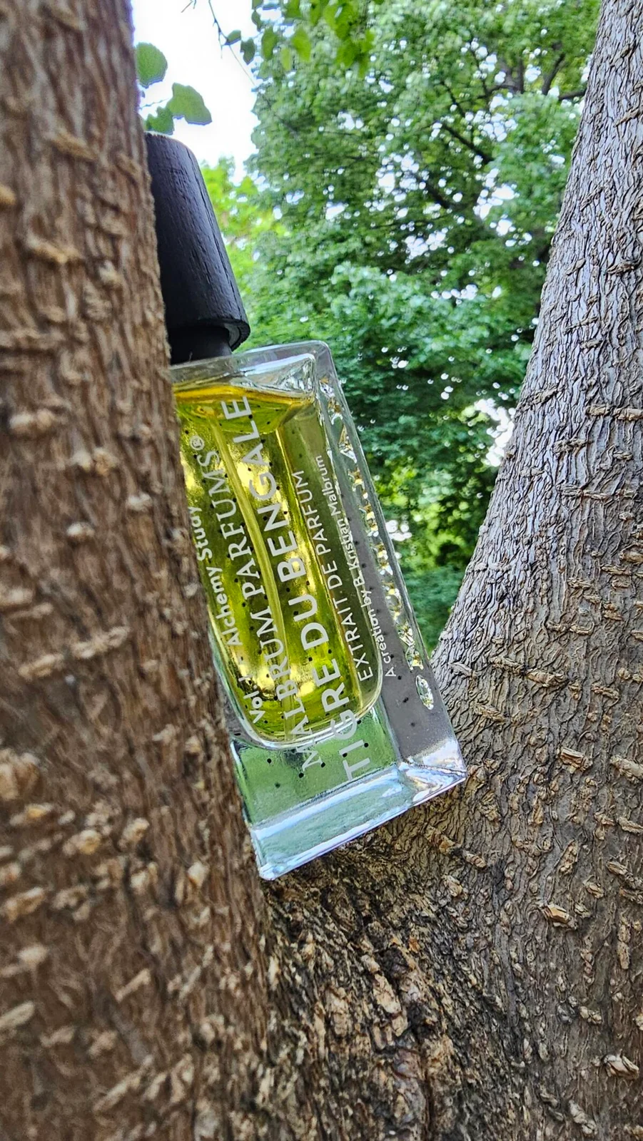 تصویر عطر تیگر دو بنگال مالبروم پرفیومز