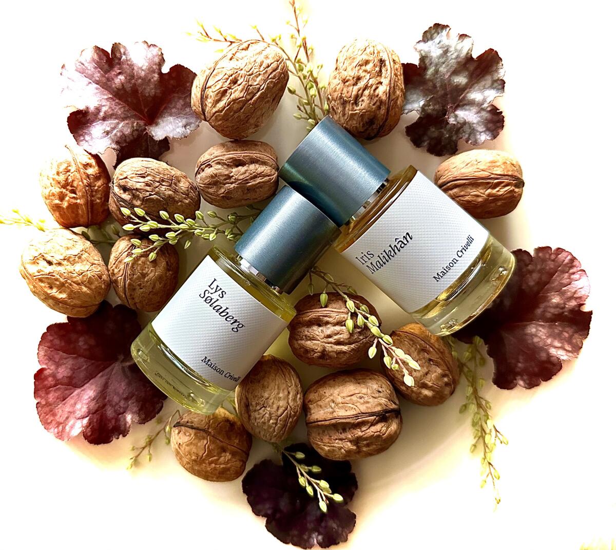 تصویر عطر لیس سوله‌برگ مزون کریولی