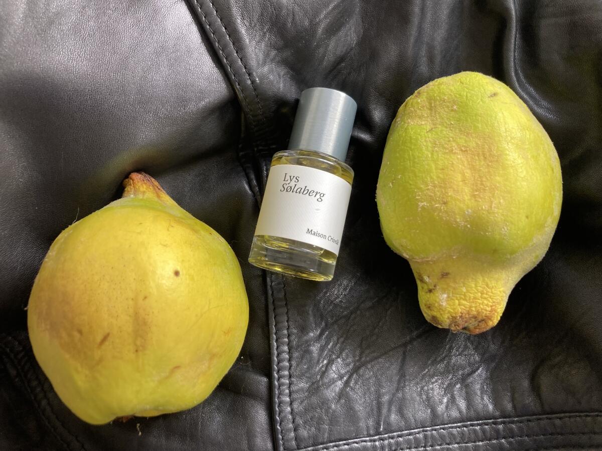 تصویر عطر لیس سوله‌برگ مزون کریولی