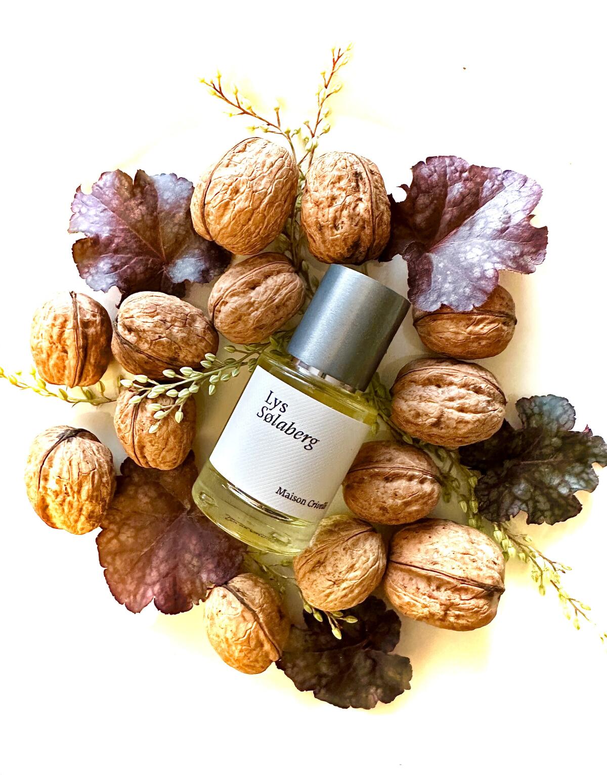 تصویر عطر لیس سوله‌برگ مزون کریولی