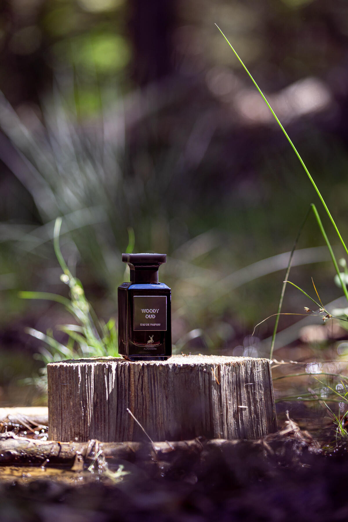 تصویر عطر اودی عود میسون الحمبرا