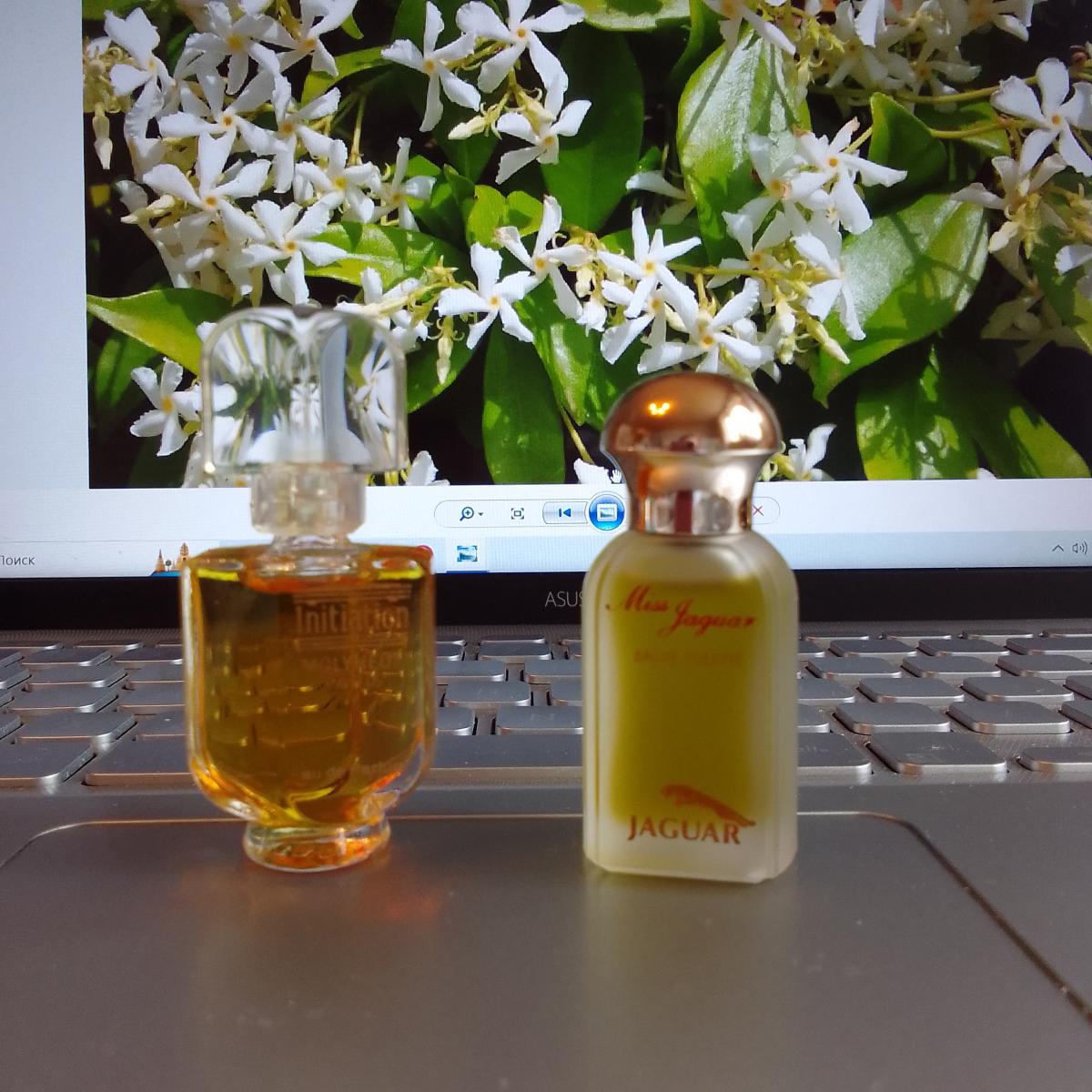 تصویر عطر میس جگوار