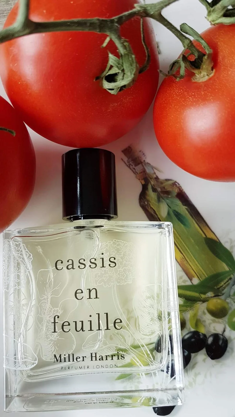 تصویر عطر کاسیس آن فوی میلر هریس