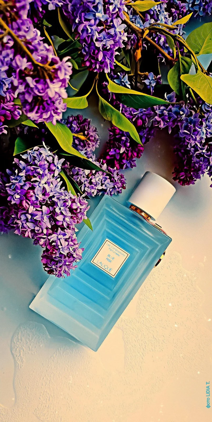 تصویر عطر بلو رایز لالیک
