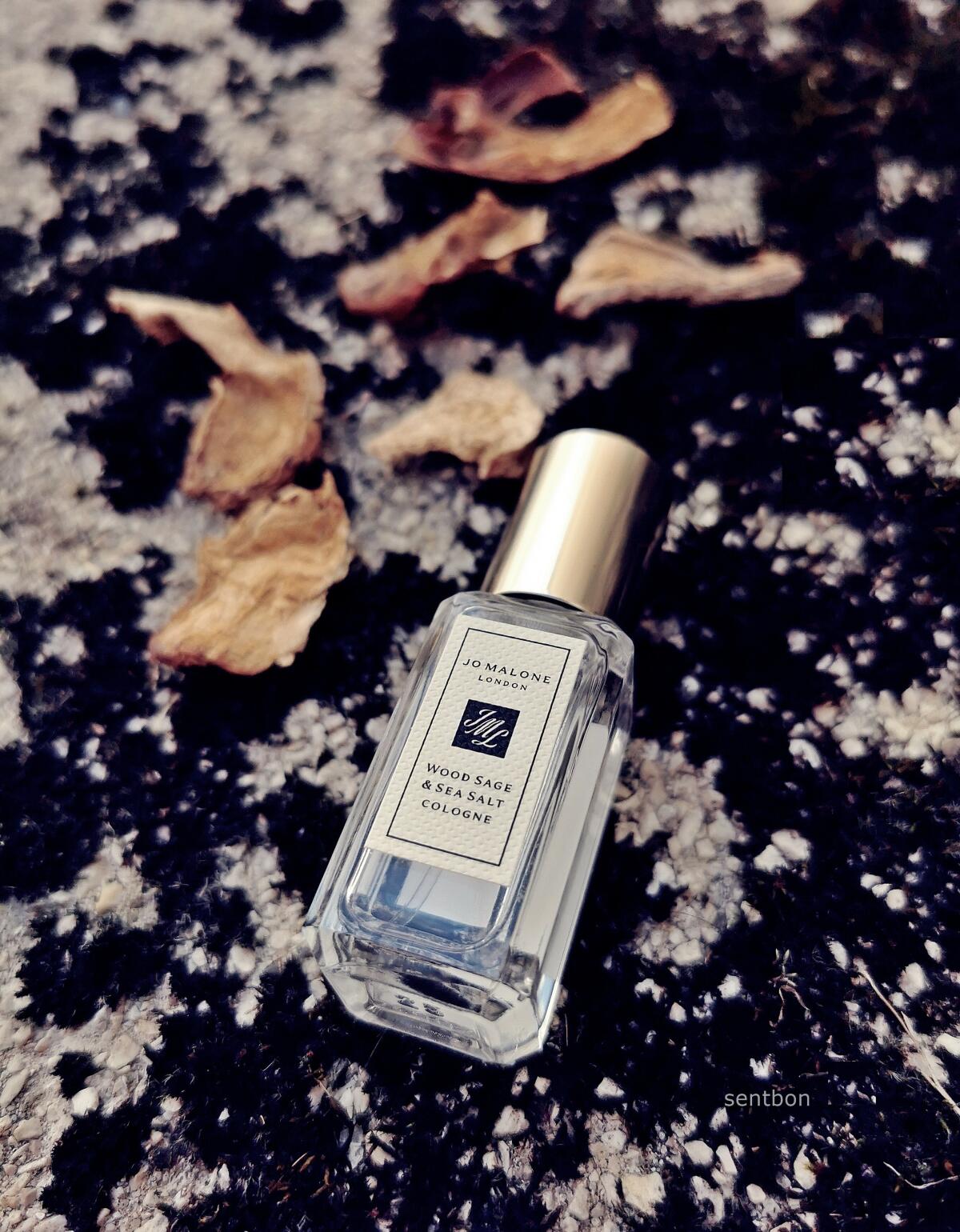 تصویر عطر وود سیج اند سی سلت جو مالون لندن