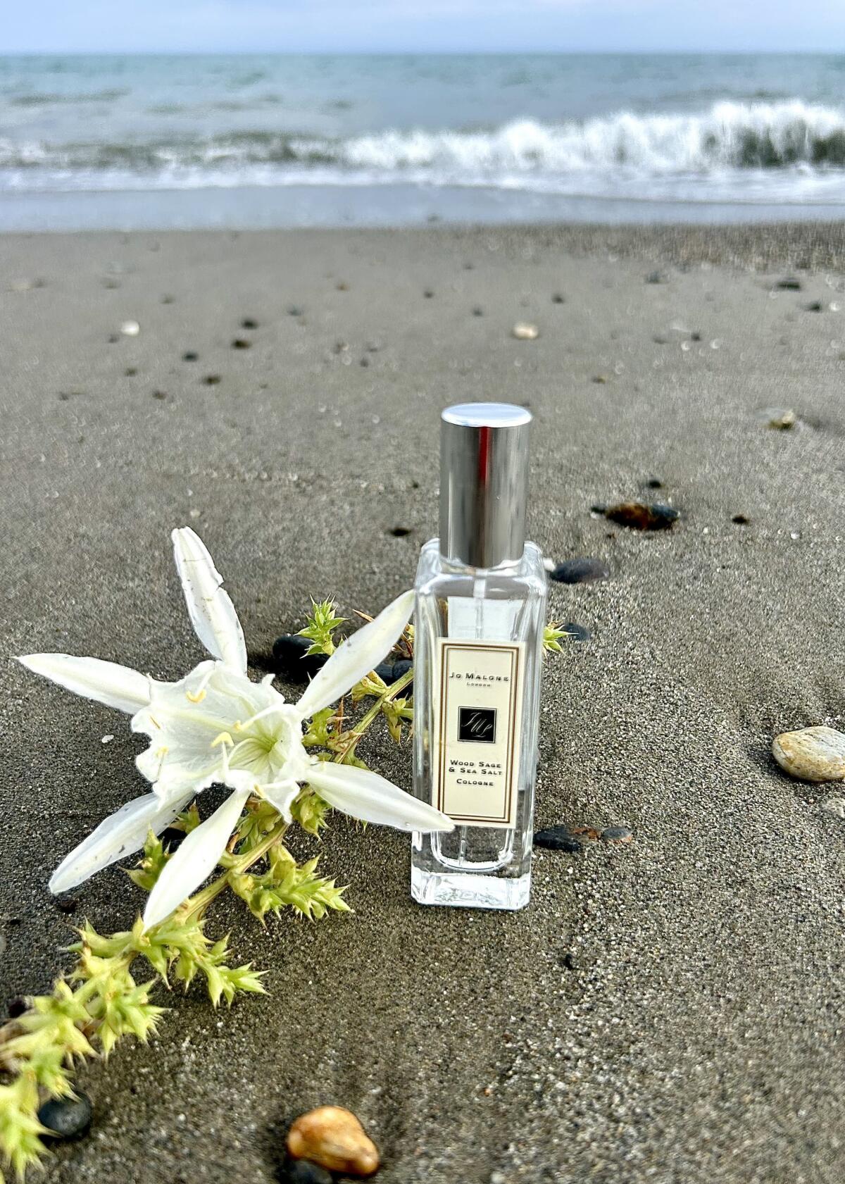 تصویر عطر وود سیج اند سی سلت جو مالون لندن