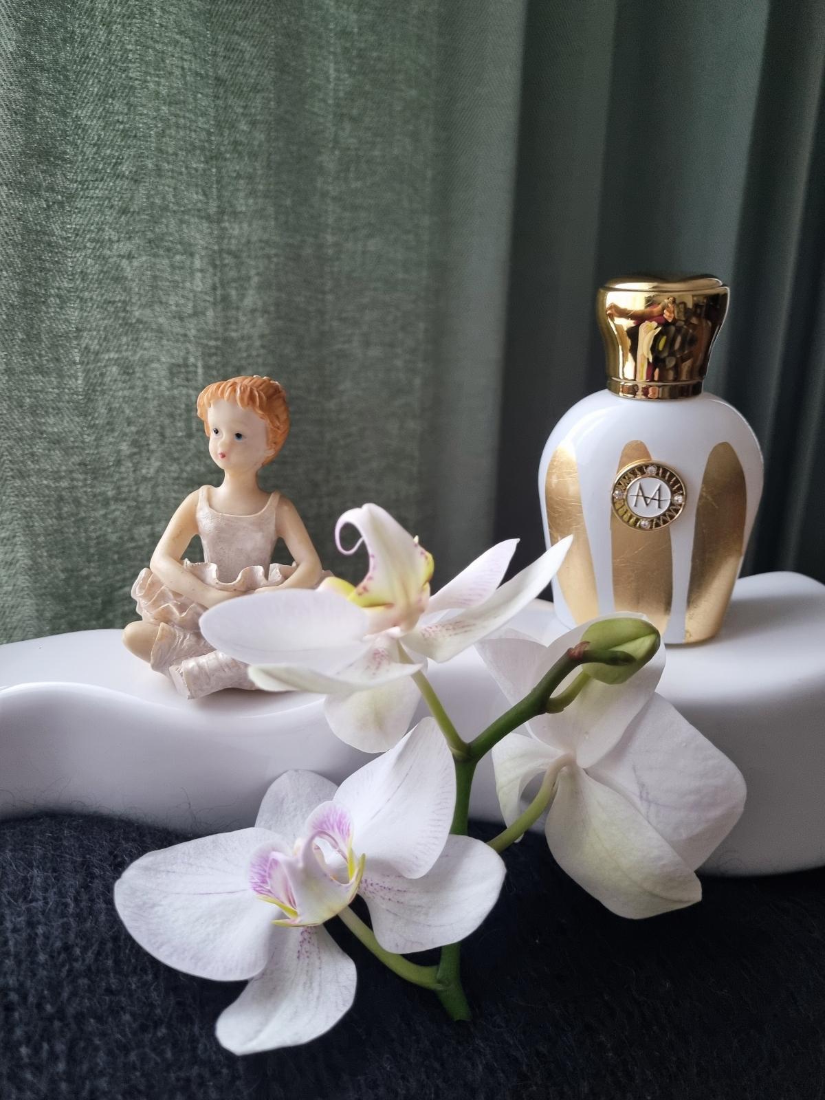 تصویر عطر باله‌رینا مورسک