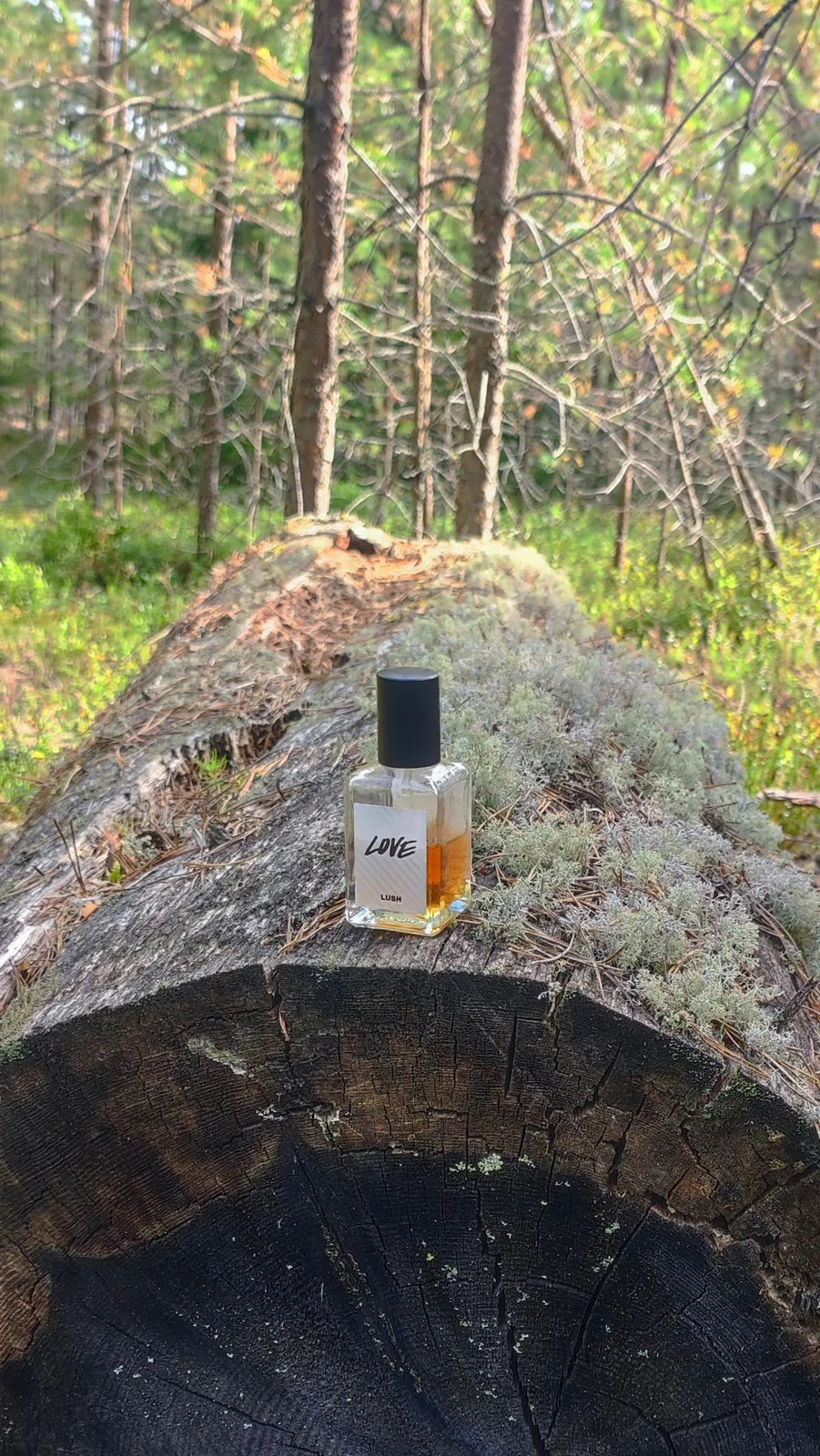 تصویر عطر لاو لاش