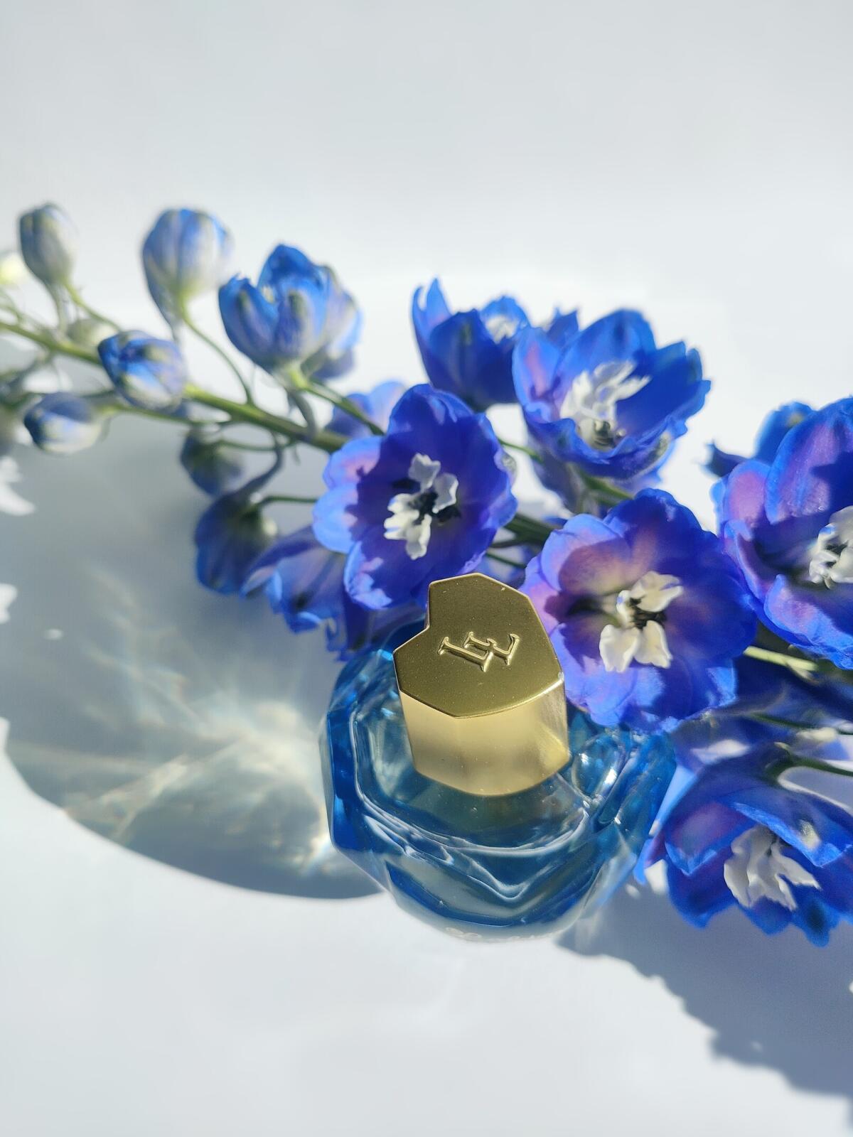 تصویر عطر لولیتا لمپیکا اورجینال