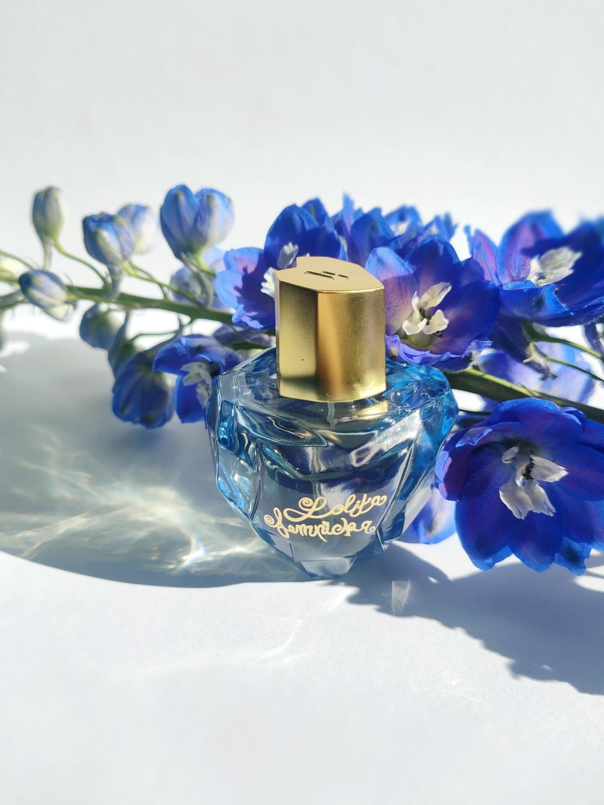 تصویر عطر لولیتا لمپیکا اورجینال