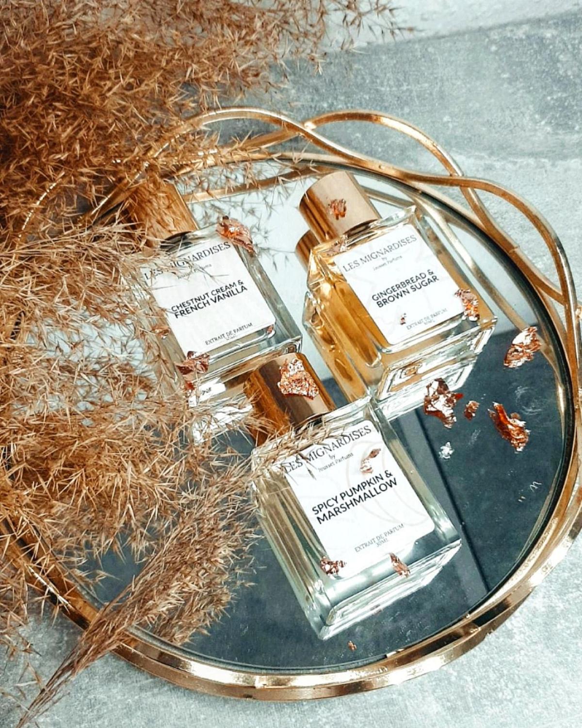 تصویر عطر جینجر برد اند براون شوگر ژوسه پرفیومز
